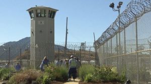 New profit center for investors