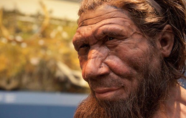 Neanderthal